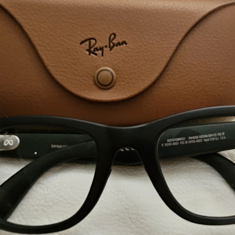 Ray-Ban Black Frames with Brown Case